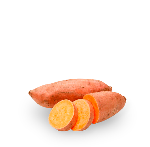 Tipos de patata boniato 1