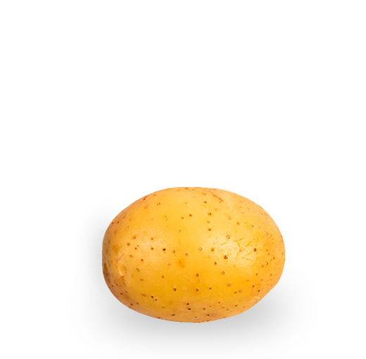 Tipos de patata melody
