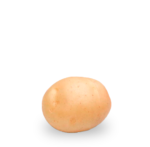 Tipos de patata sifra