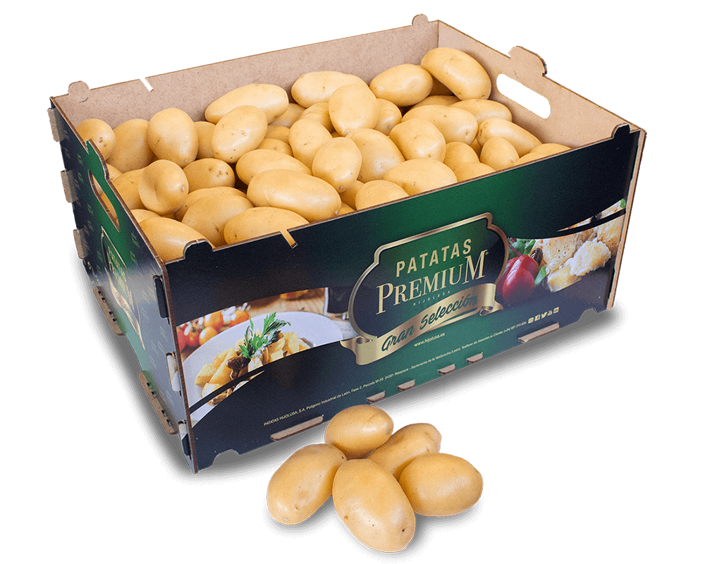 Patatas Premium Gran Selección Jazzy 8 kg. - Hijolusa