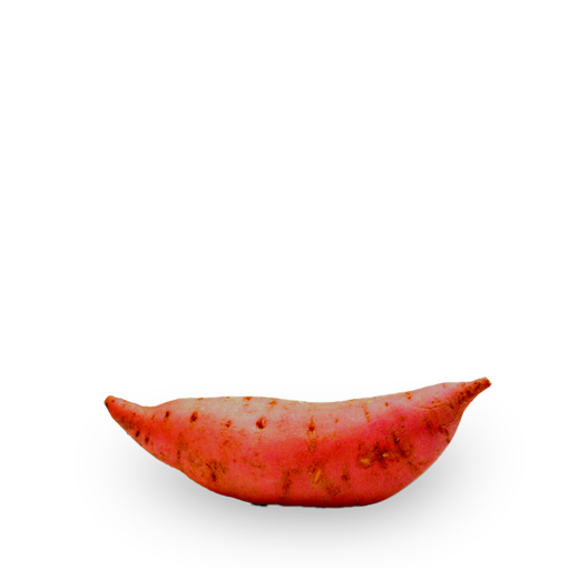 Tipos de patata boniato 3 1