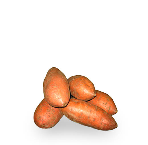Tipos de patata boniato 2